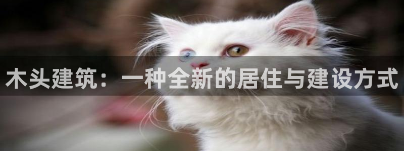 狗子28垫付金额